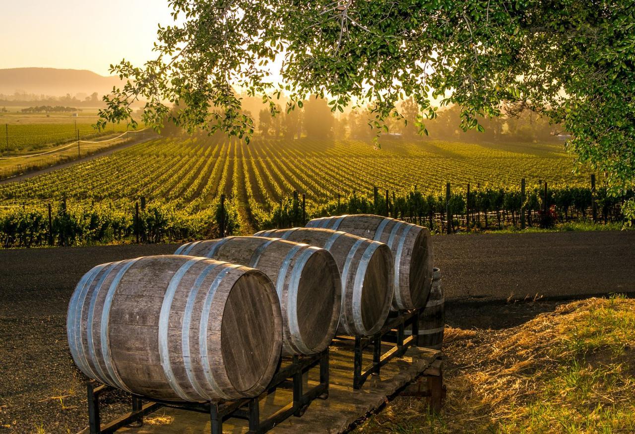 An Ideal Wine Country Getaway Villa Cessnock Esterno foto