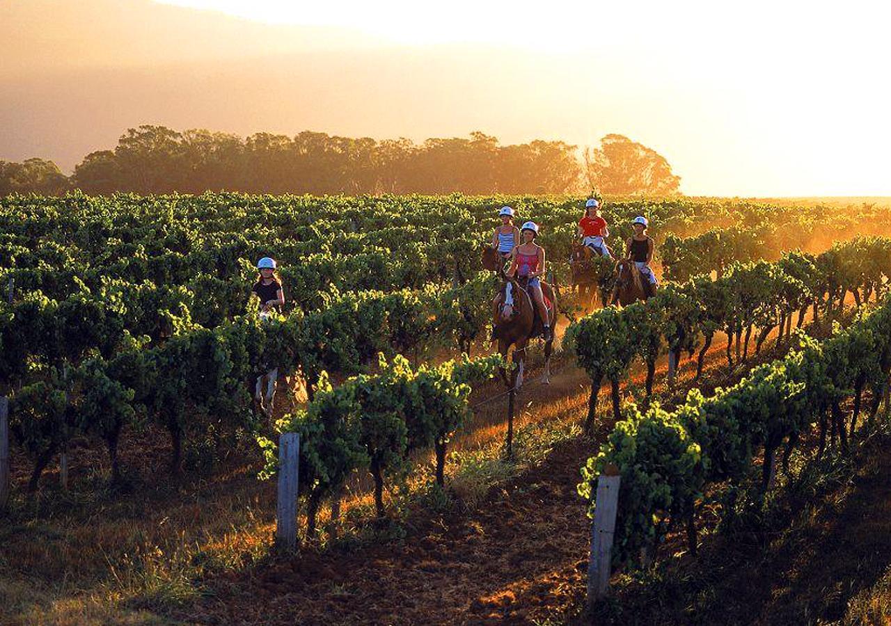 An Ideal Wine Country Getaway Villa Cessnock Esterno foto